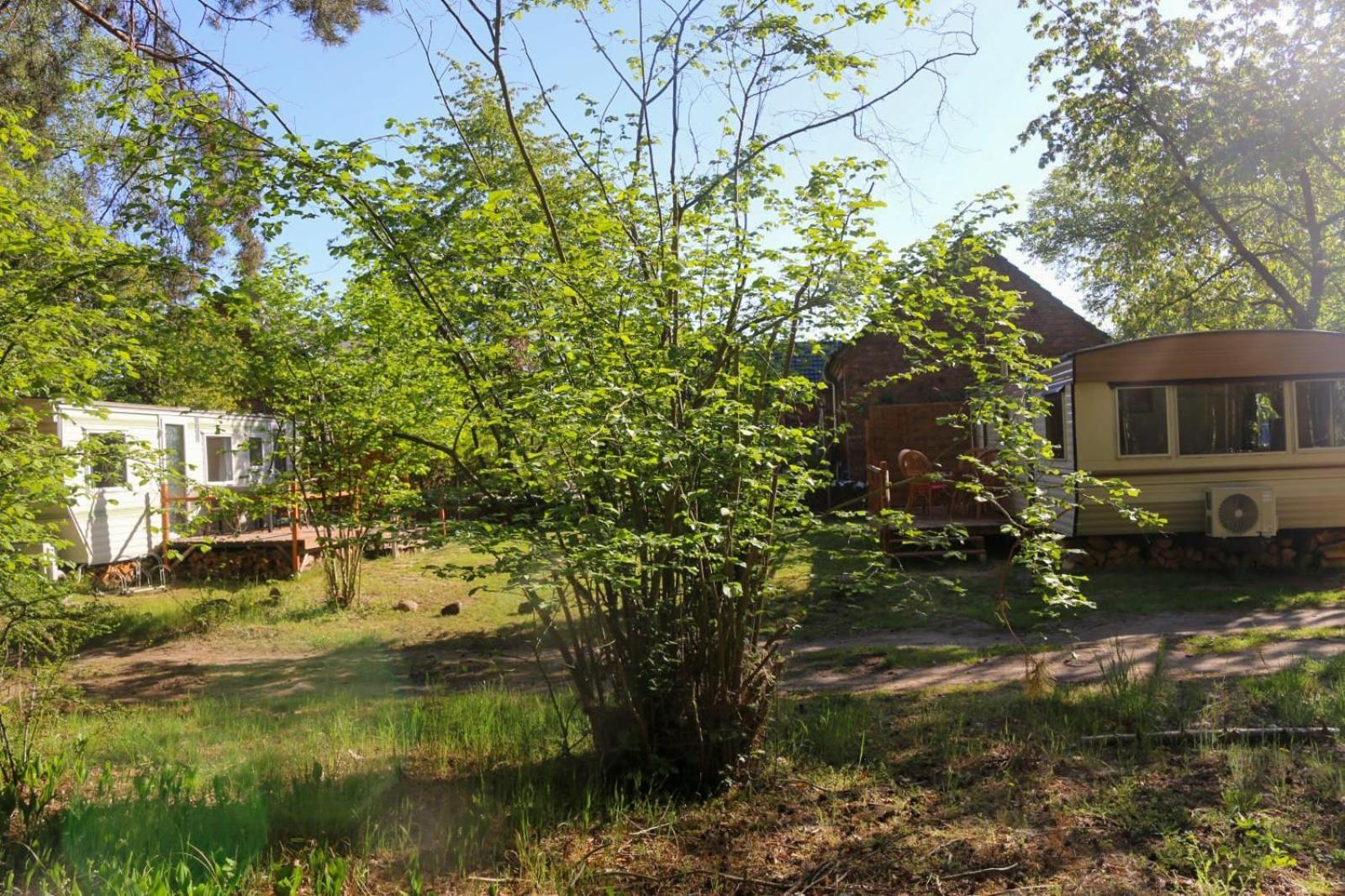Tinyhaus Idyllisch Am Waldesrand Hotel Cottbus Buitenkant foto